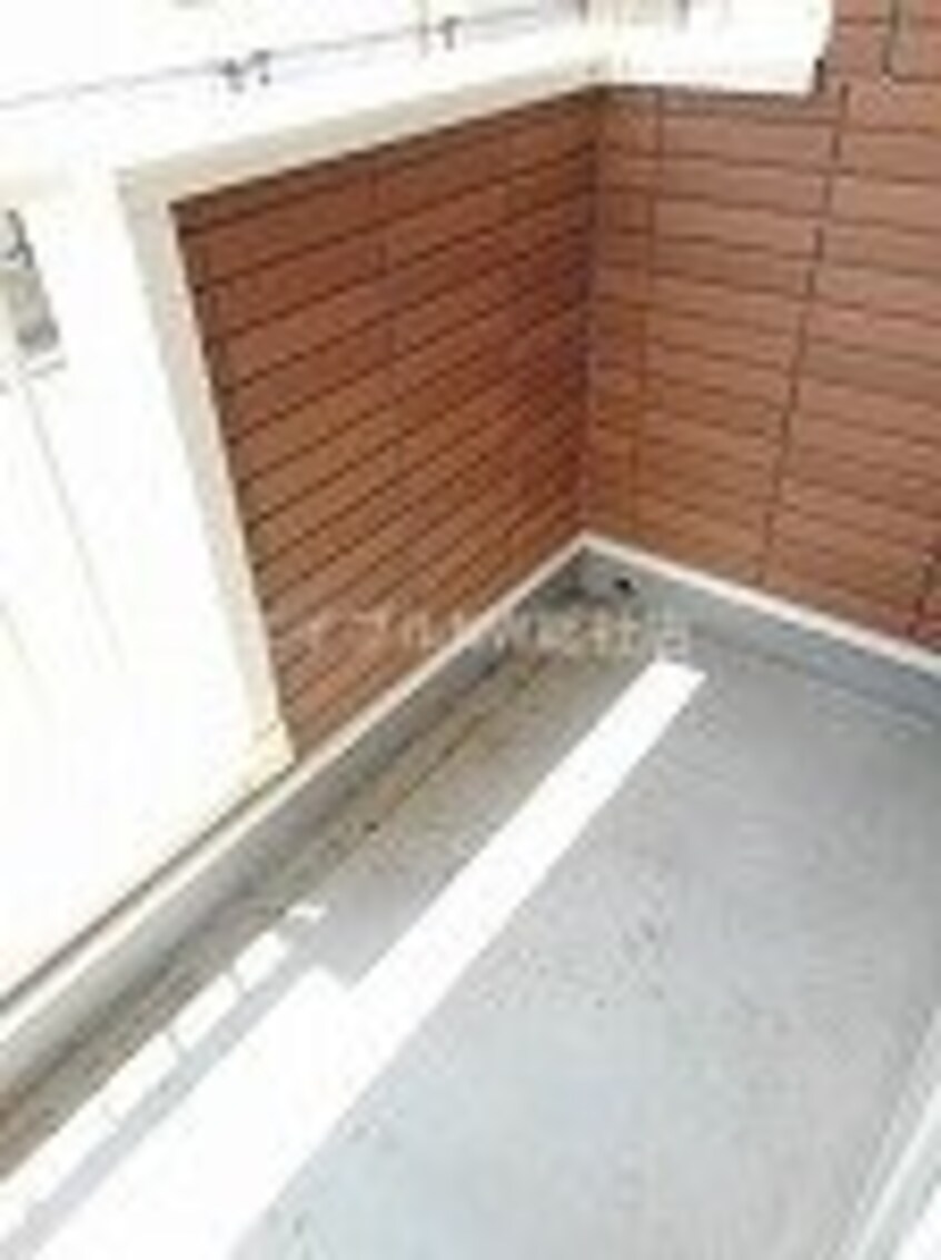  プリムローズ　Ｂ