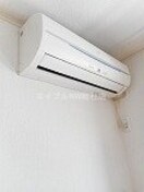  プリムローズ　Ｂ