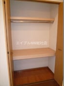  ジンジャーエールⅡ