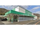 ザグザグ落合店(ドラッグストア)まで542m エルディム蘭