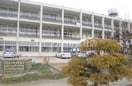 倉敷市立大高小学校(小学校)まで1138m アフェクト