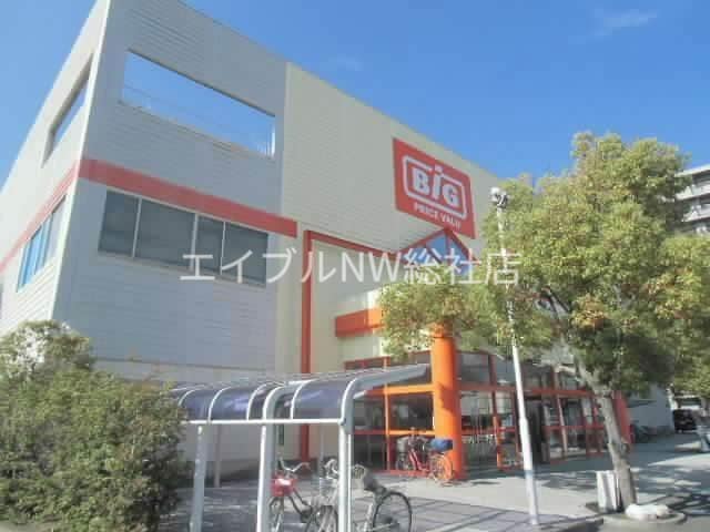 ザ・ビッグ倉敷笹沖店(ショッピングセンター/アウトレットモール)まで2316m アフェクト