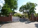 倉敷市立琴浦東小学校(小学校)まで799m ディライト　ステージＡ