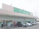 ザグザグ連島店(ドラッグストア)まで878m ノーブル連島