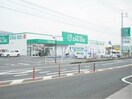 ザグザグ矢掛店(ドラッグストア)まで293m グランスイートⅡ