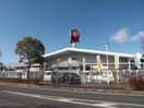 コメリハード＆グリーン中主店(電気量販店/ホームセンター)まで226m 西河原マリーンハイツ