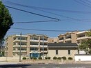 野洲市立野洲小学校(小学校)まで163m ワシダビル