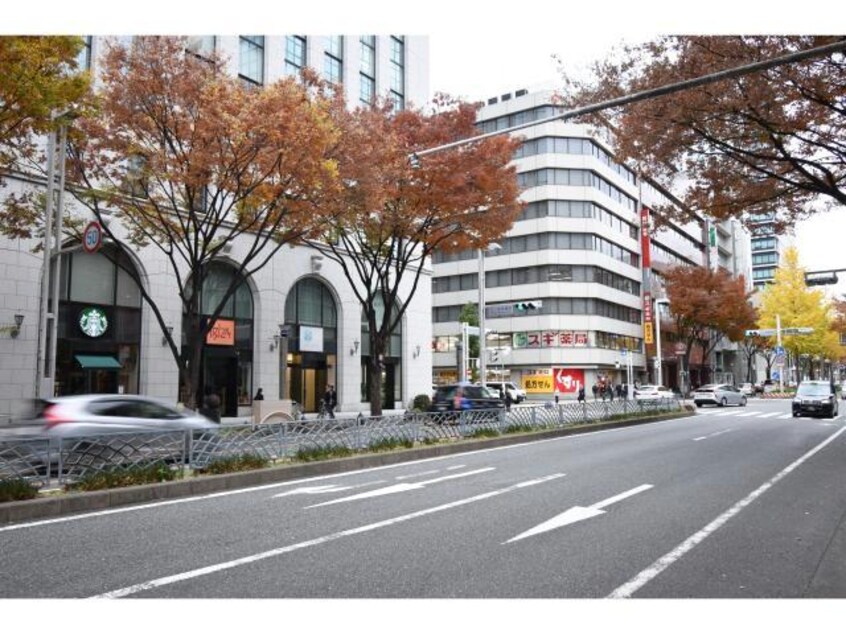 スギ薬局伏見店(ドラッグストア)まで352m さくらHills NISHIKI Platinum Residence