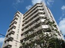 名古屋市営地下鉄東山線/新栄町駅 徒歩6分 5階 築39年の外観