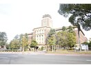 名古屋市役所(役所)まで1500m 清水ハイツ