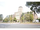 名古屋市役所(役所)まで1002m ＣＨ白壁