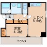 グラン アベニュー白川公園 1LDKの間取り