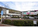 イオンタウン千種(ショッピングセンター/アウトレットモール)まで614m 名古屋市営地下鉄鶴舞線/鶴舞駅 徒歩10分 2階 築12年