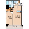 名古屋市営地下鉄名城線/矢場町駅 徒歩10分 10階 築7年 1LDKの間取り