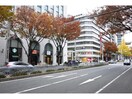 スギ薬局伏見店(ドラッグストア)まで792m 名古屋市営地下鉄桜通線/丸の内駅 徒歩2分 12階 築12年
