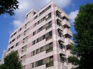名古屋市営地下鉄桜通線/丸の内駅 徒歩3分 4階 築31年の外観