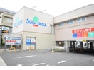 ドラッグスギヤマ白壁店(ドラッグストア)まで882m 名古屋市営地下鉄桜通線/高岳駅 徒歩9分 5階 築6年