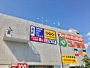 コノミヤ八幡店(スーパー)まで1353m メゾン　ド　ポワール