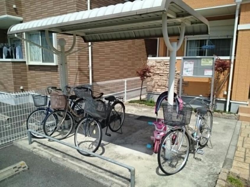  フォルトゥーナ