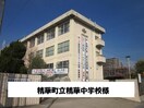  パインオークVIII