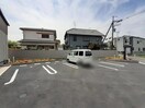  パインオークVIII