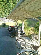  バンブーパレス