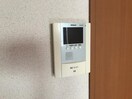  ヴェルダンディ