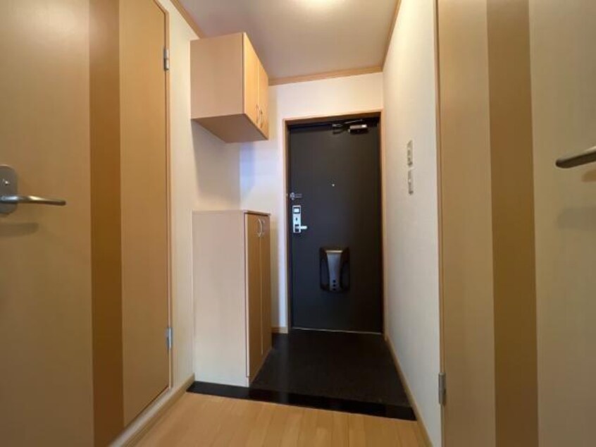  マイエルモファンタジー