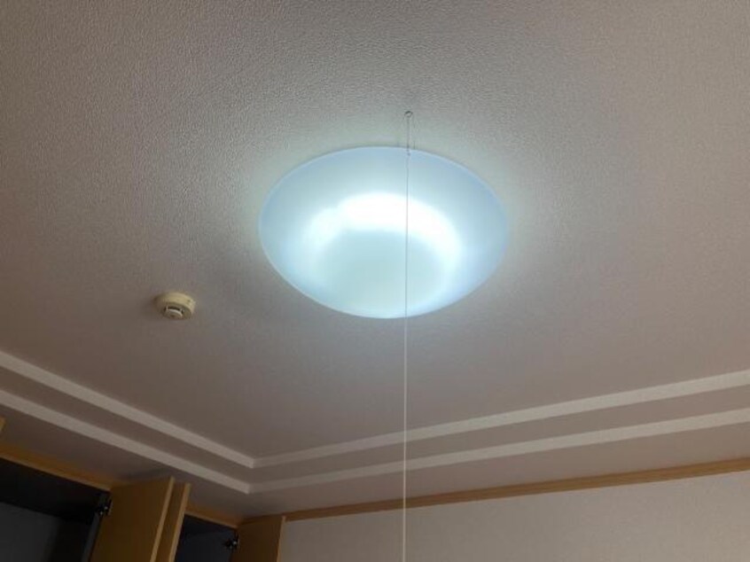  マイエルモファンタジー