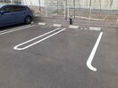  サニー・ヒルズ