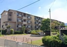 蜂ヶ丘市営住宅の外観