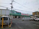  ナリッシュFujisaka