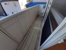  ナリッシュFujisaka