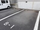  ナリッシュFujisaka