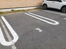  ナリッシュFujisaka