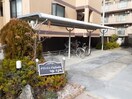  ナリッシュFujisaka