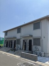 パームツリー（Palm Tree）