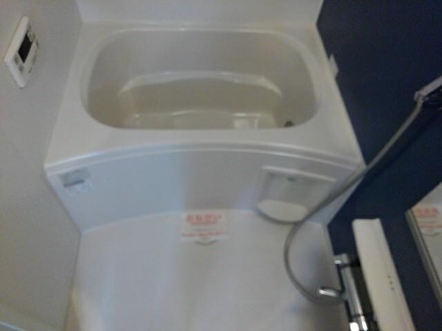  アロッジオ指月