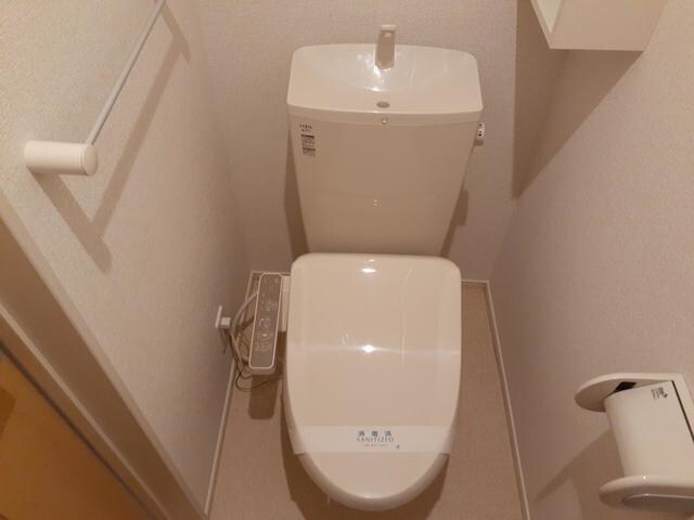  アロッジオ指月