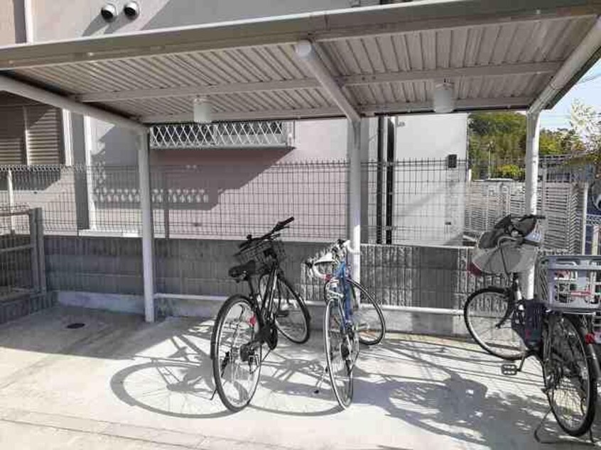  アロッジオ指月