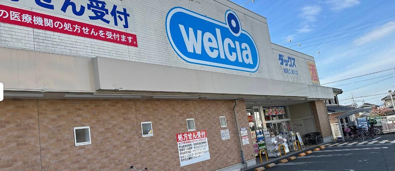 ダックス城陽久津川店(ドラッグストア)まで689m アロッジオ指月