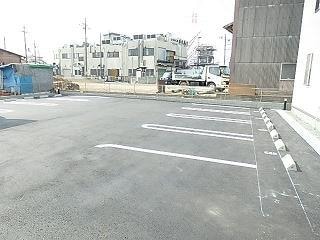  アン・フォレストII