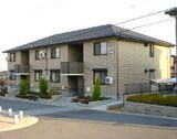 グリーンパーク　ニレの木