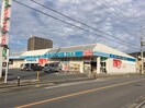 ドラッグストア木のうた加茂店(ドラッグストア)まで161m エバープラスパ