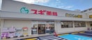 スギ薬局伏見向島店(ドラッグストア)まで334m フリージア