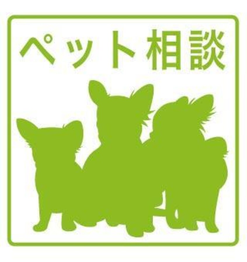  伏見区津知橋町テラスハウス