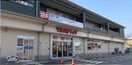 ツルハドラッグ伏見直違橋店(ドラッグストア)まで789m ブリランテ墨染