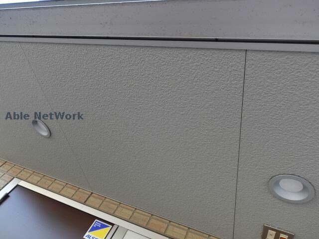  Ｌｉｅｎ（リアン）