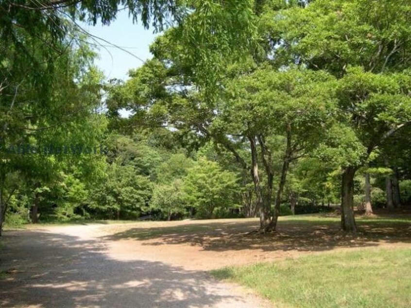 泉谷公園(公園)まで653m カサベルデC