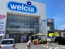 ウエルシア市原国分寺台店(ドラッグストア)まで929m 内房線/五井駅 車移動　11分4.7km 2階 築4年